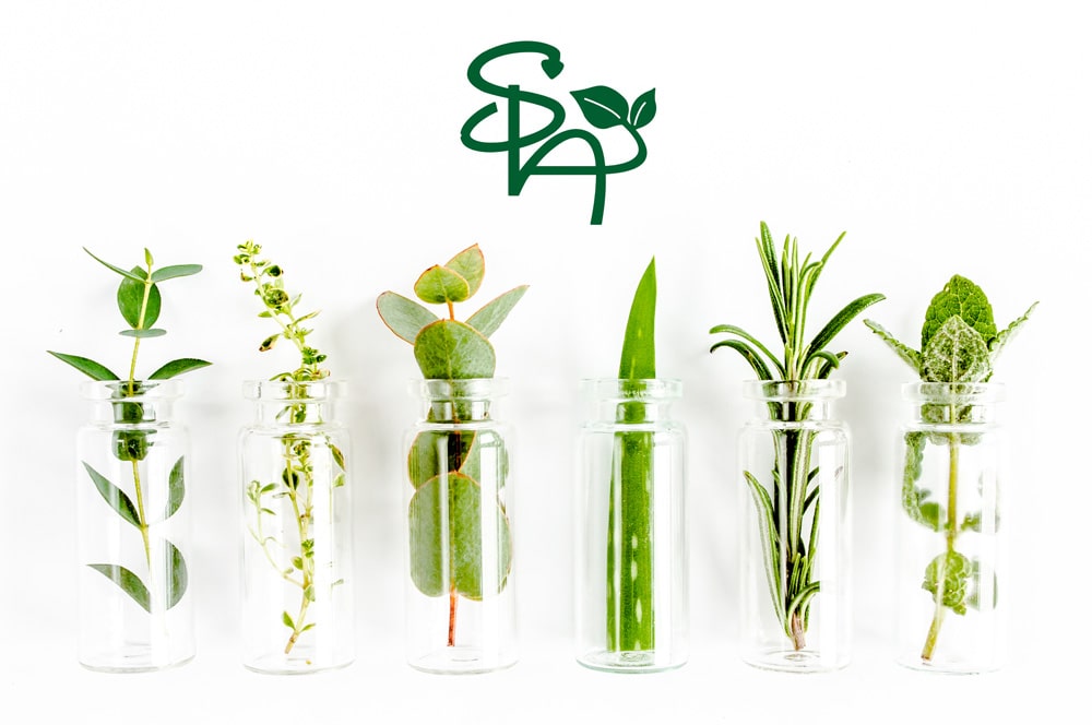 SPA - Natuurlijke huidsverzorgingsproducten
